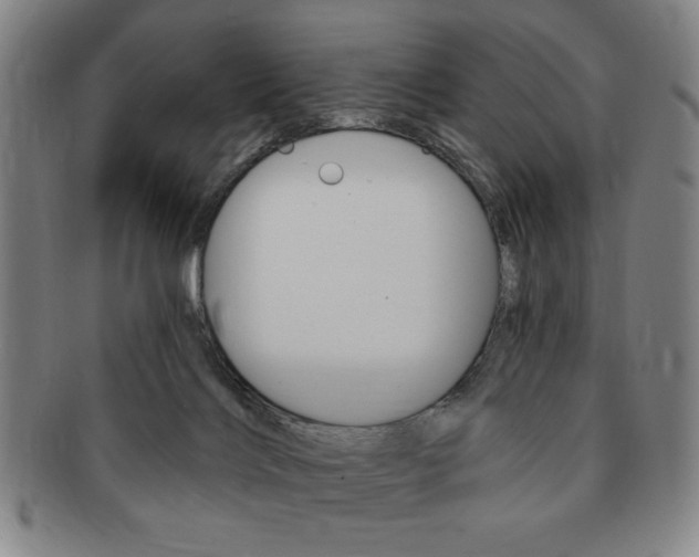 X0000091640028200708230958