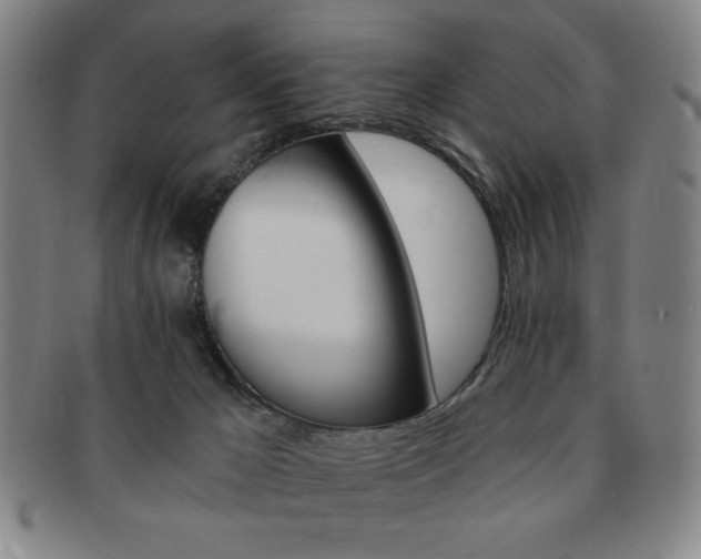 X0000091640029200708230958