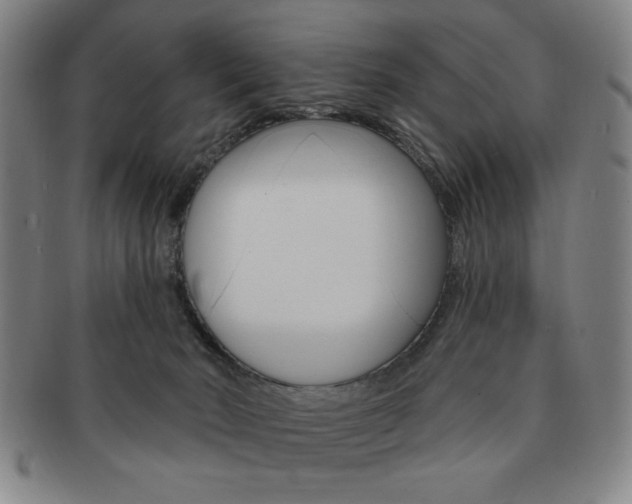 X0000091640030200708230958