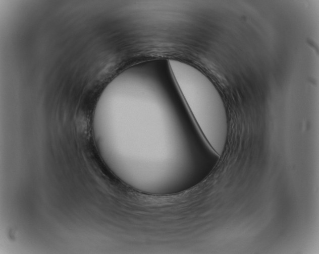 X0000091640031200708230958