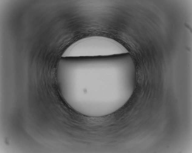 X0000091640034200708230958