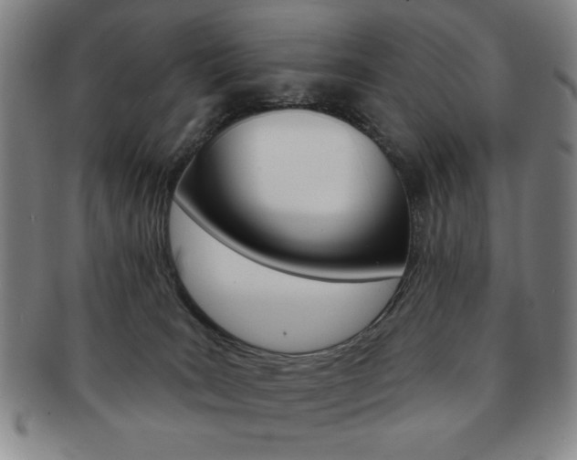 X0000091640035200708230958