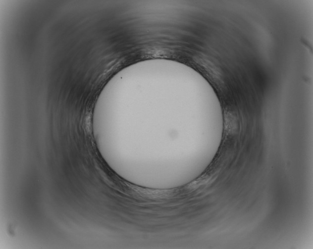 X0000091640036200708230958
