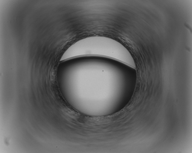 X0000091640037200708230958