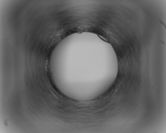 X0000091640038200708230958