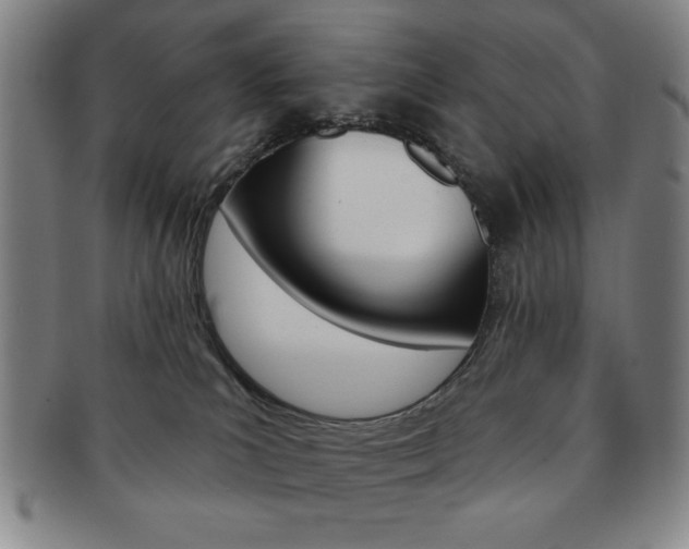 X0000091640039200708230958