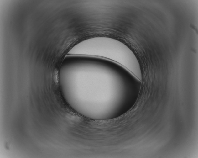 X0000091640041200708230958