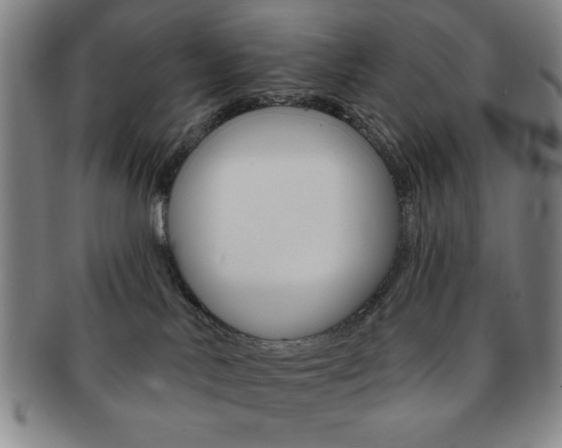 X0000091640042200708230958