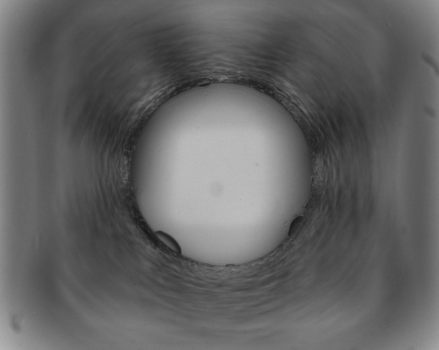 X0000091640043200708230958