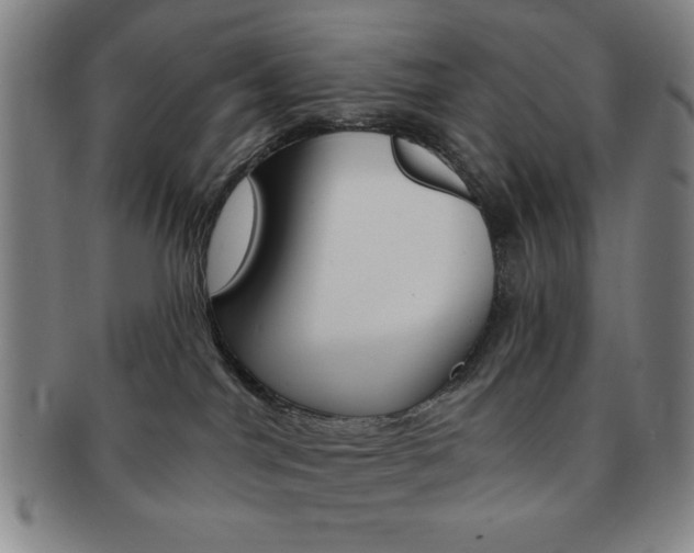 X0000091640044200708230958