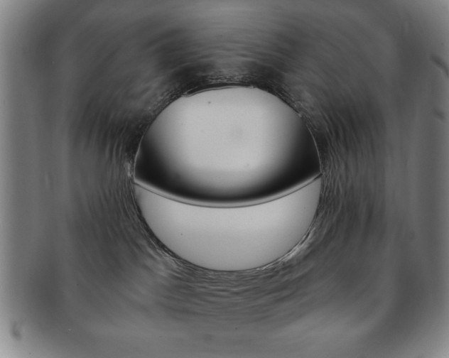 X0000091640045200708230958
