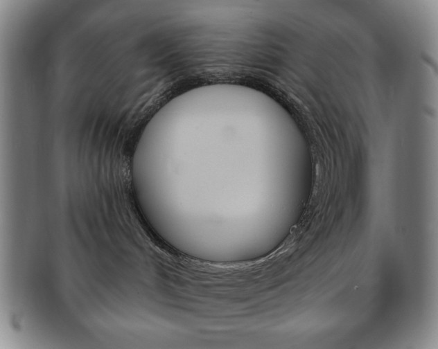 X0000091640048200708230958
