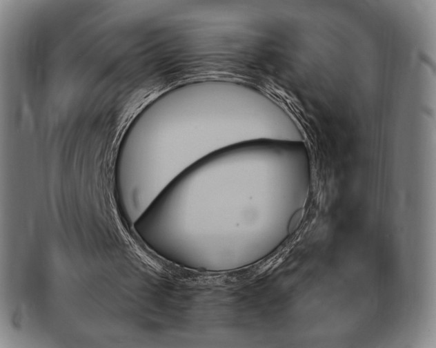 X0000091640049200708230957