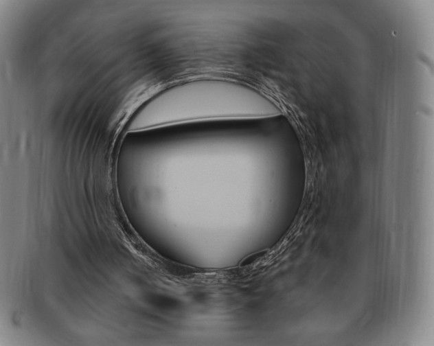 X0000091640050200708230957