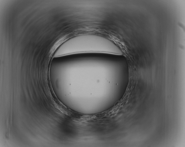 X0000091640051200708230957