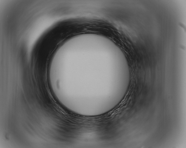X0000091640052200708230957
