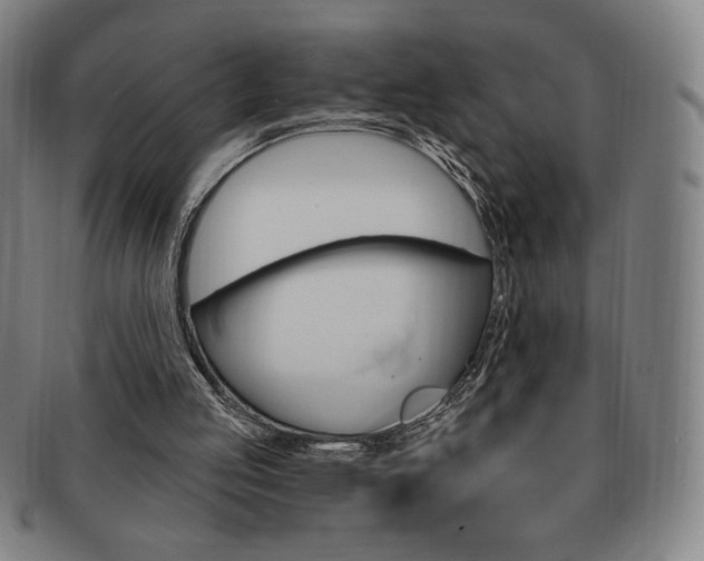 X0000091640053200708230957