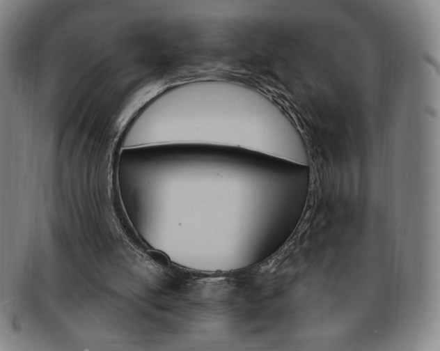 X0000091640054200708230957