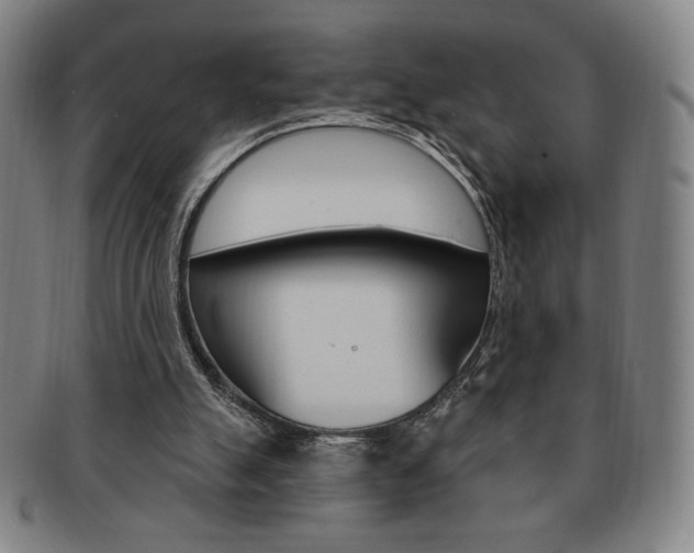 X0000091640055200708230957
