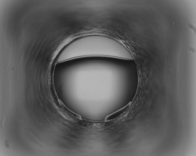 X0000091640056200708230957