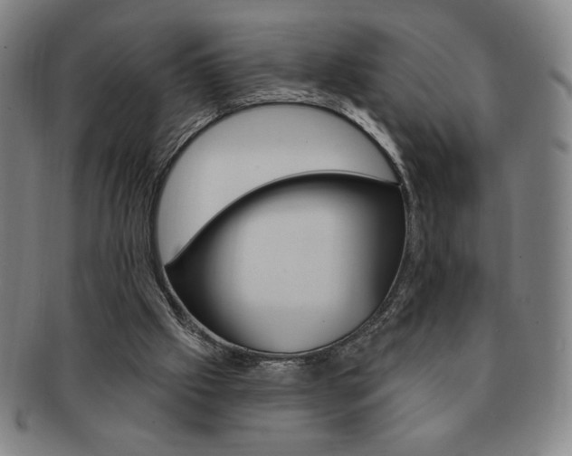 X0000091640057200708230957