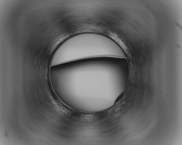 X0000091640058200708230957