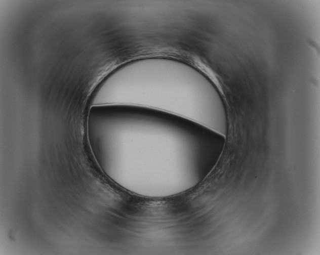 X0000091640059200708230957