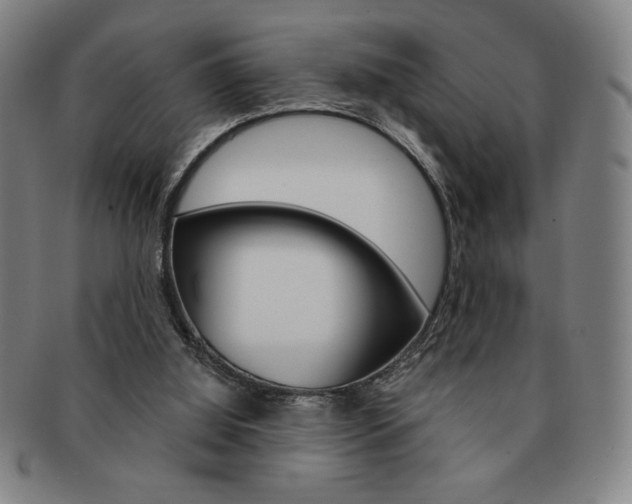 X0000091640060200708230957