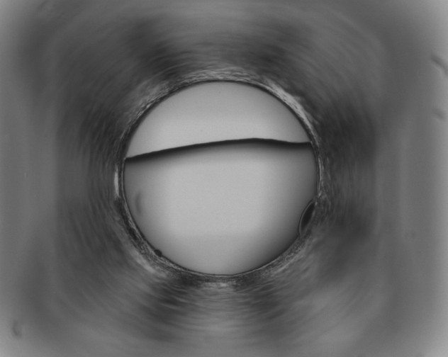 X0000091640061200708230957