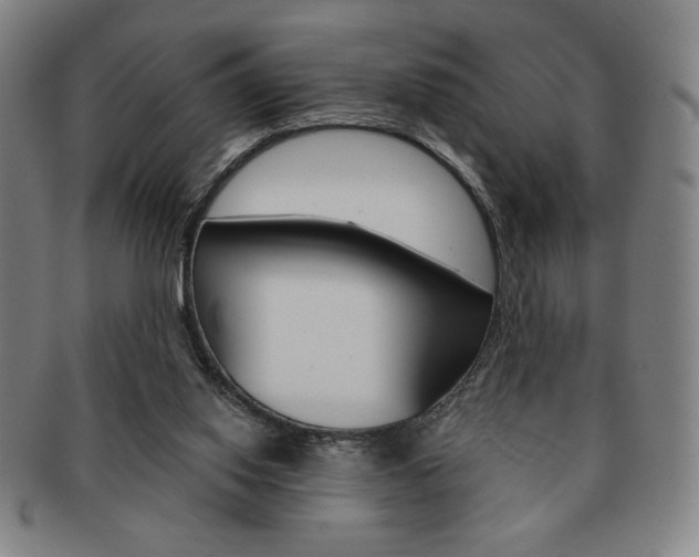 X0000091640062200708230957