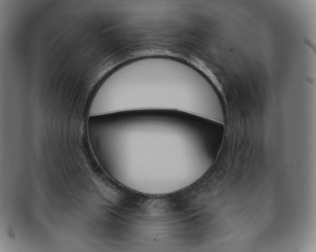 X0000091640063200708230957