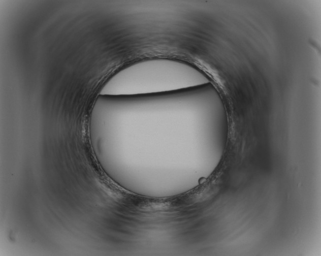X0000091640065200708230957
