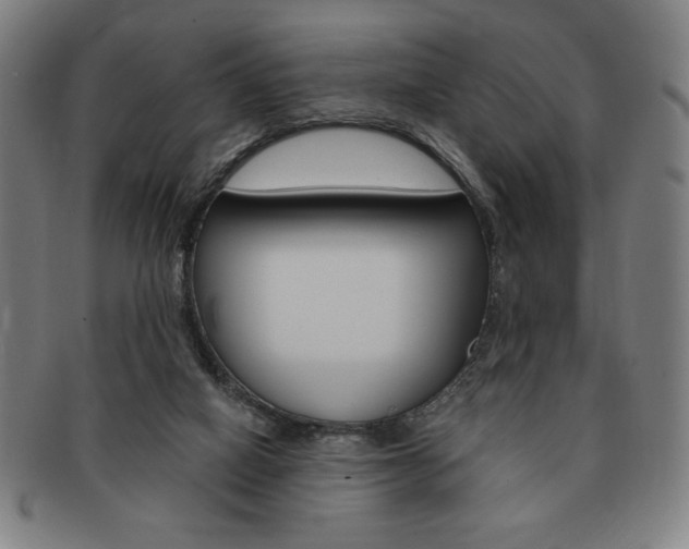X0000091640066200708230957