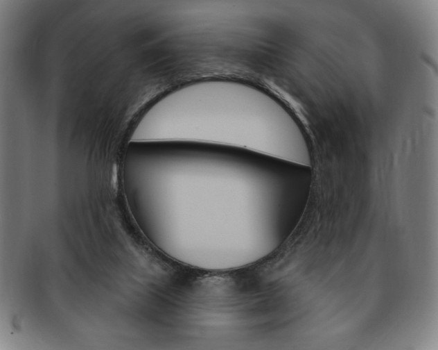 X0000091640067200708230957
