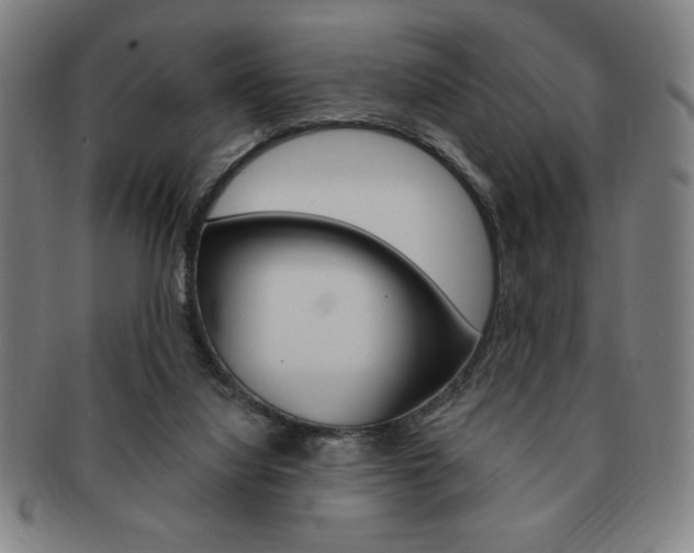 X0000091640068200708230957