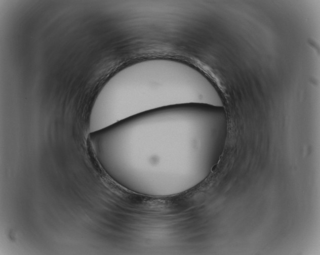 X0000091640069200708230957
