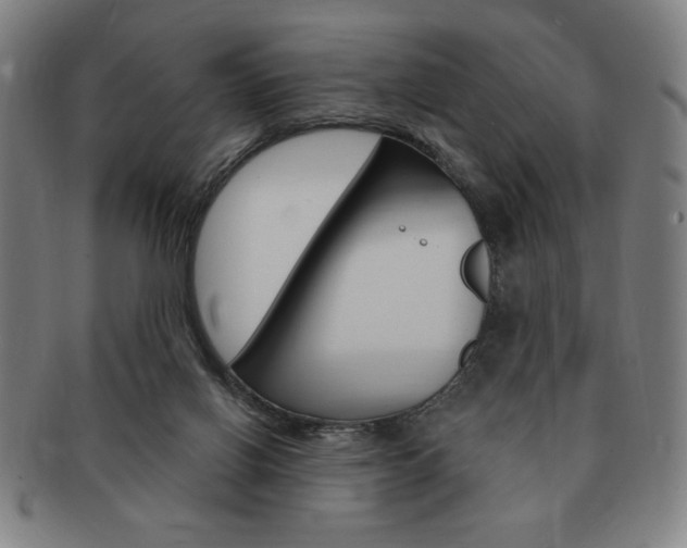 X0000091640070200708230957