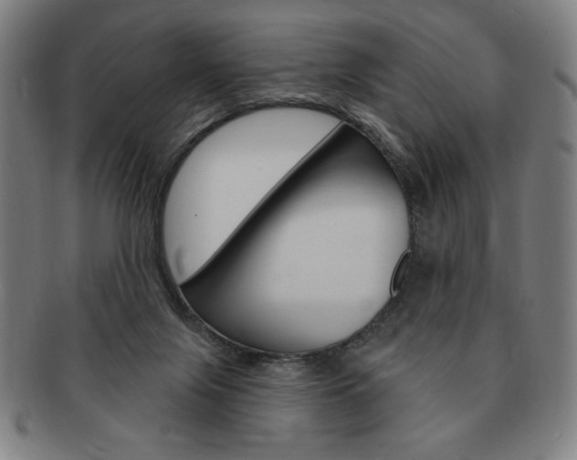 X0000091640071200708230957