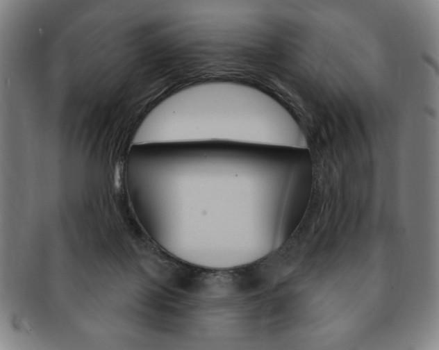 X0000091640075200708230957
