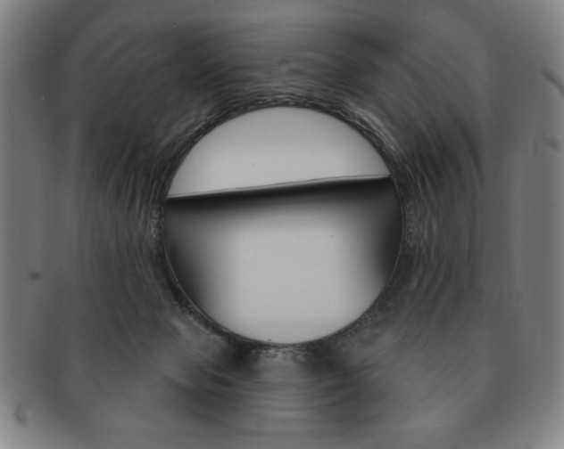 X0000091640077200708230957