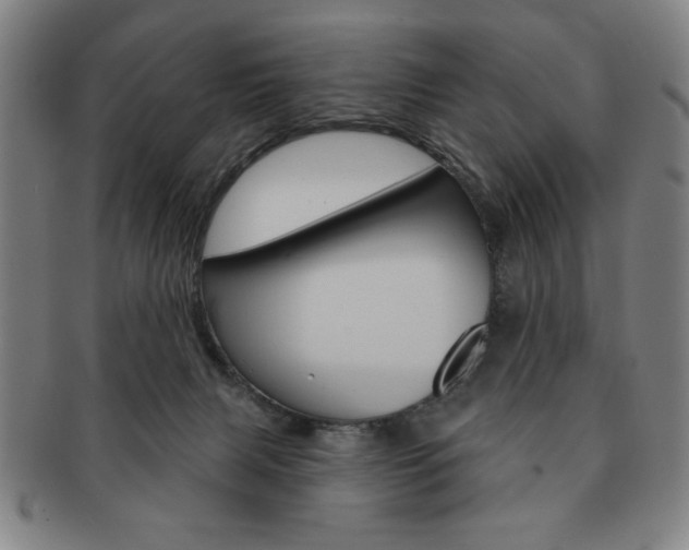 X0000091640079200708230957