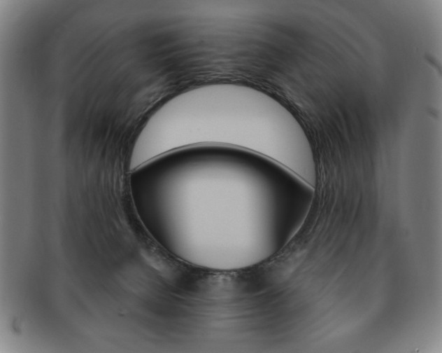 X0000091640080200708230957