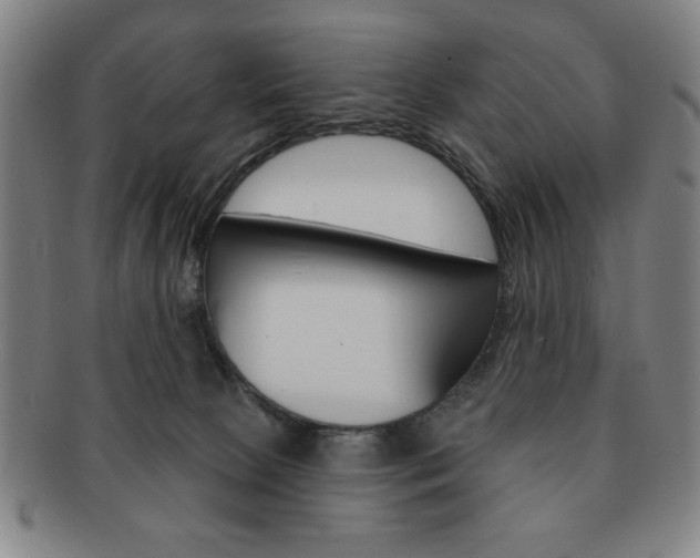 X0000091640081200708230957