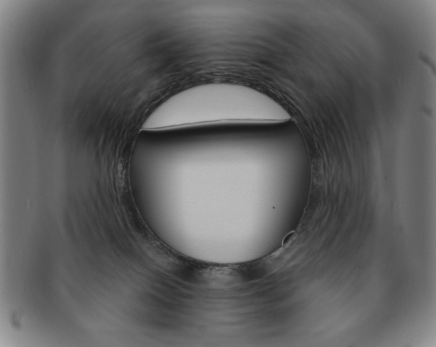 X0000091640086200708230958
