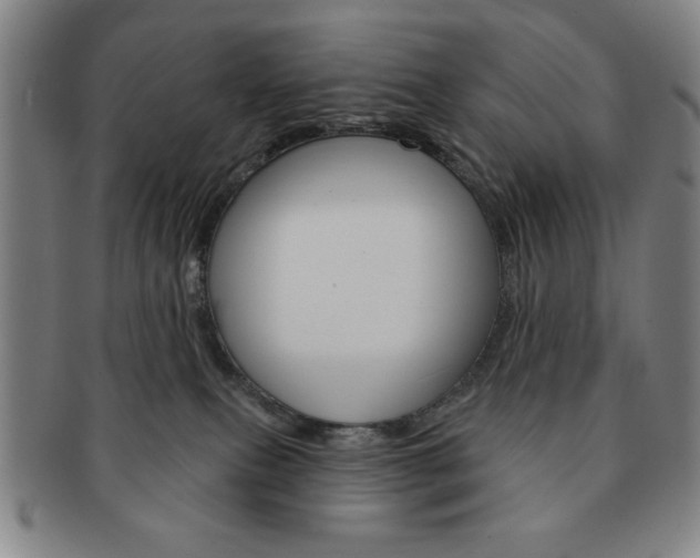 X0000091640087200708230958