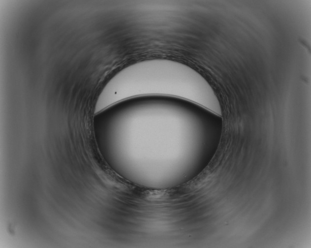 X0000091640088200708230958