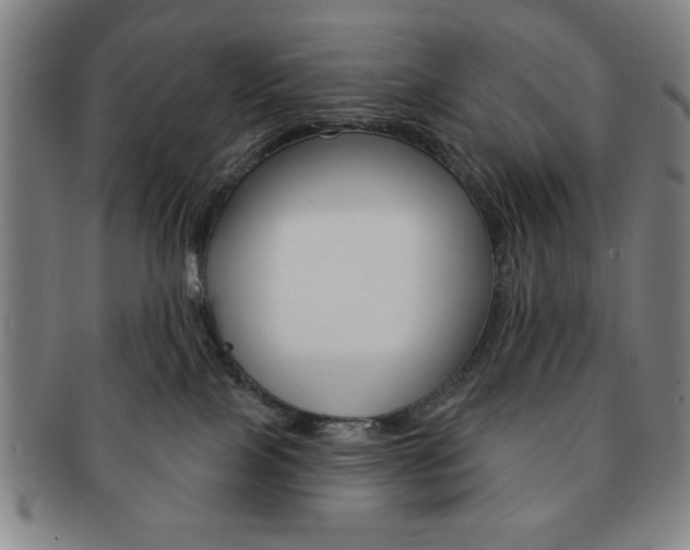 X0000091640089200708230958
