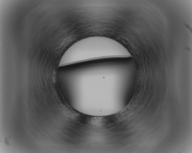 X0000091640090200708230958