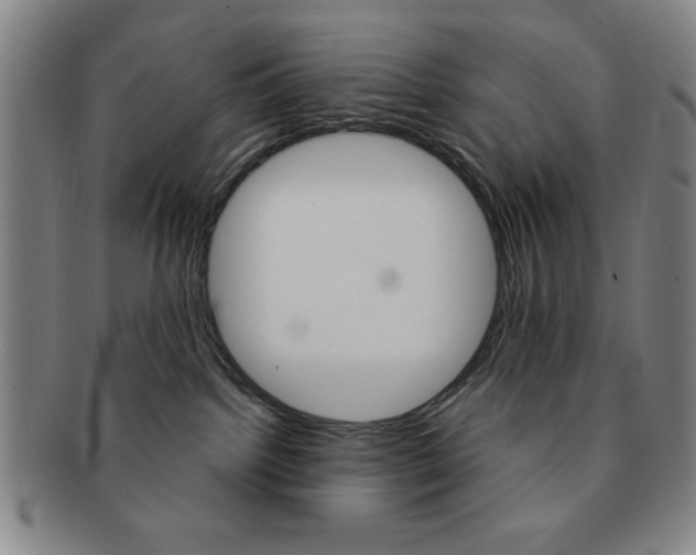 X0000091640092200708230958
