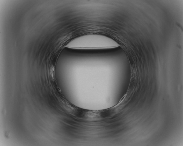 X0000091640094200708230958